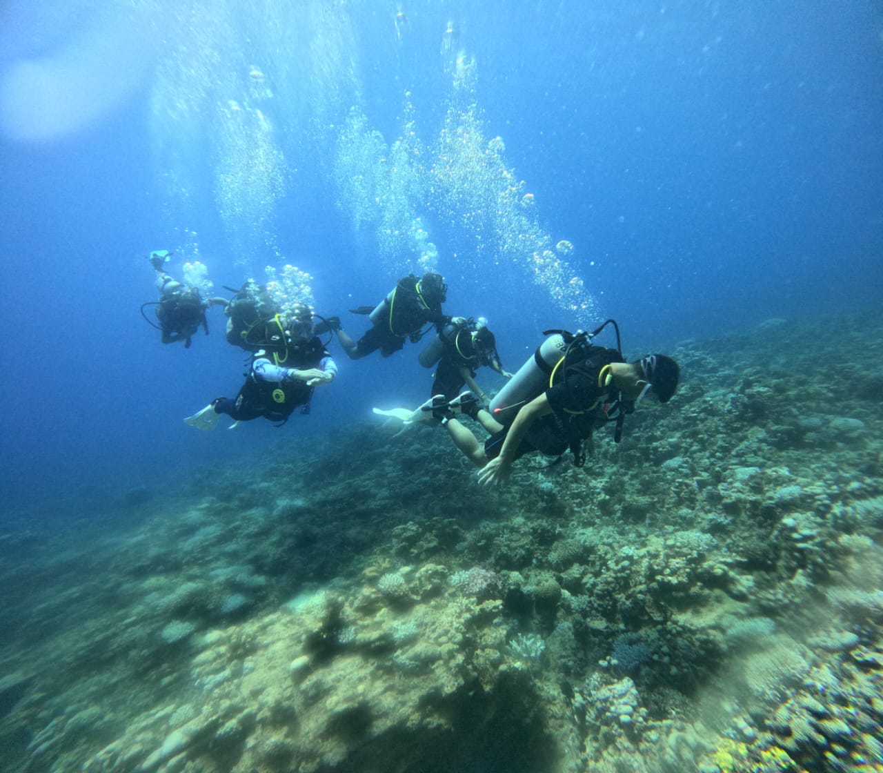 Enass Zobedat's review of diving with Osama